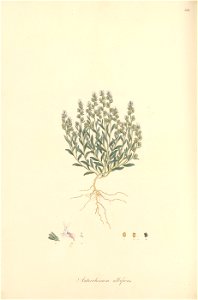 n253_w1150