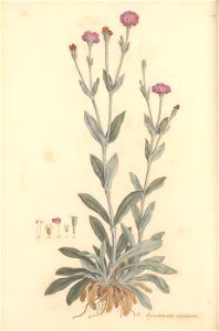 n149_w1150