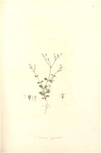 n106_w1150