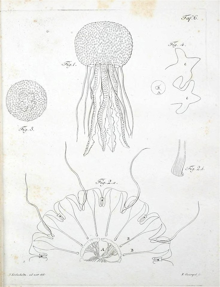 n222_w1150