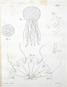 n222_w1150