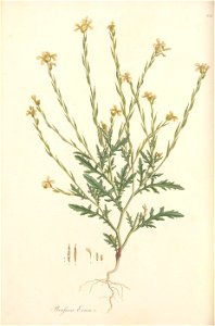 n141_w1150