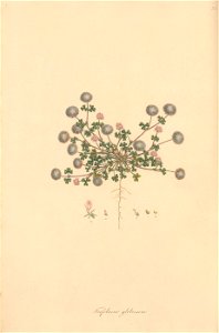 n127_w1150