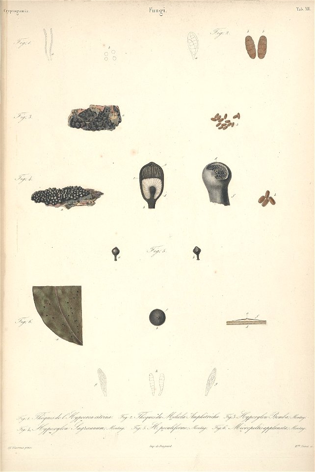 n13_w1150