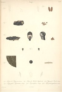 n13_w1150