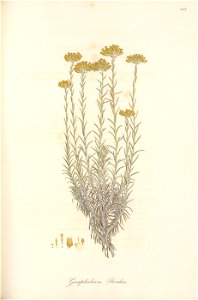 n164_w1150