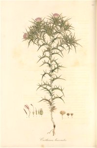 n121_w1150