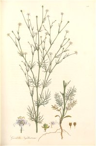 n122_w1150