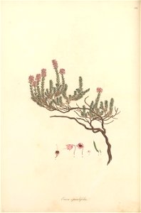 n159_w1150