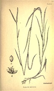 n162_w1150