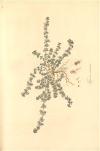 n222_w1150