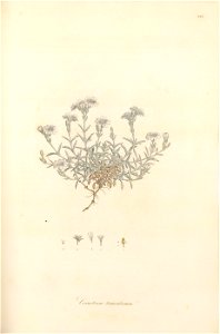 n158_w1150