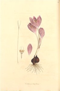n149_w1150
