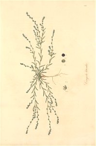 n276_w1150