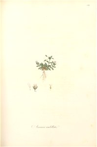 n112_w1150