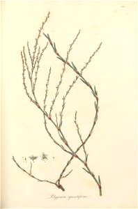 n190_w1150