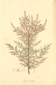 n273_w1150