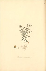 n183_w1150