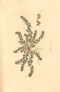 n158_w1150