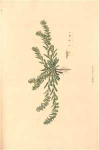 n200_w1150