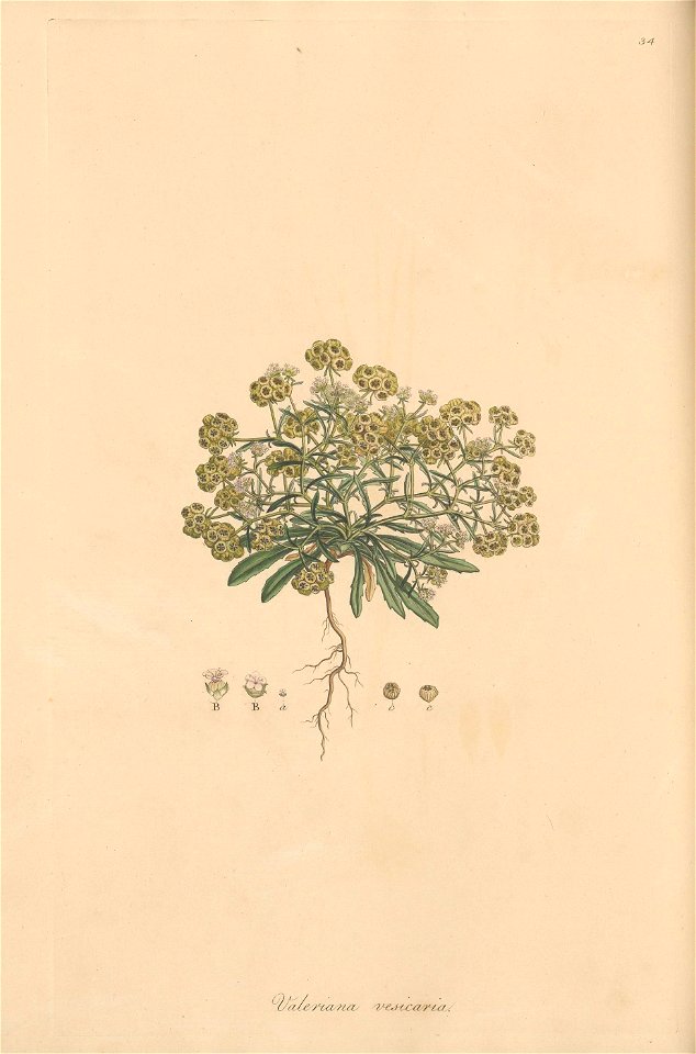 n105_w1150