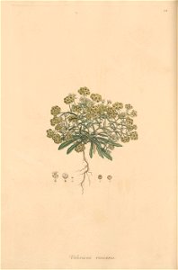 n105_w1150