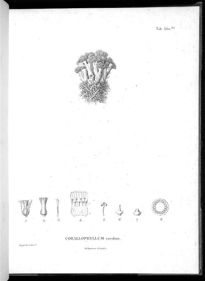 n626_w1150