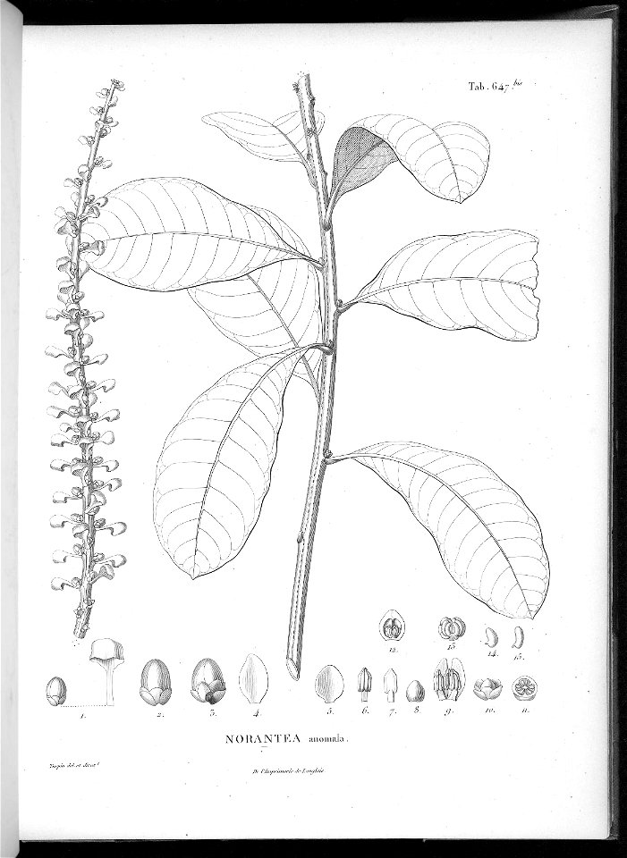n611_w1150