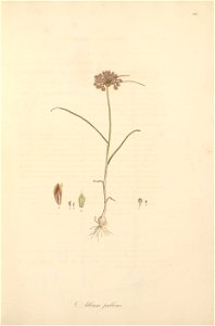 n56_w1150
