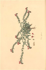 n239_w1150