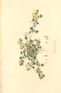 n146_w1150