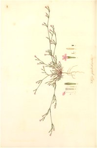 n269_w1150