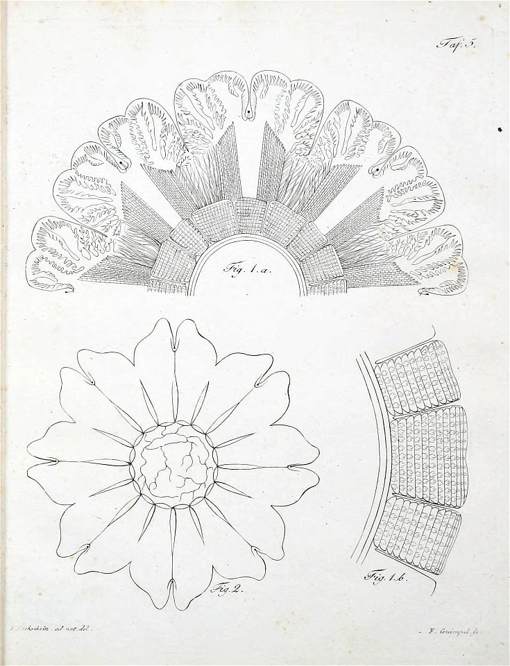 n218_w1150