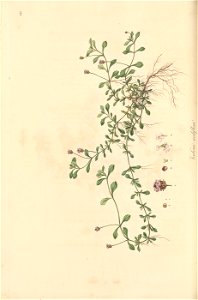 n155_w1150