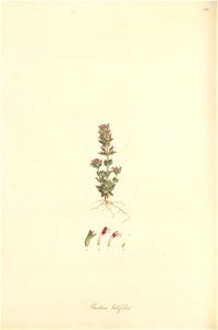 n247_w1150