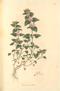 n164_w1150