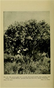 n113_w1150