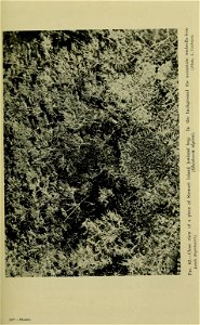 n226_w1150