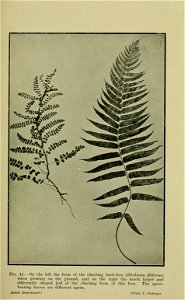 n112_w1150