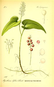 n522_w1150