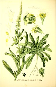 n519_w1150