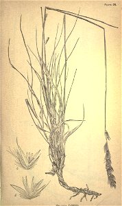 n198_w1150