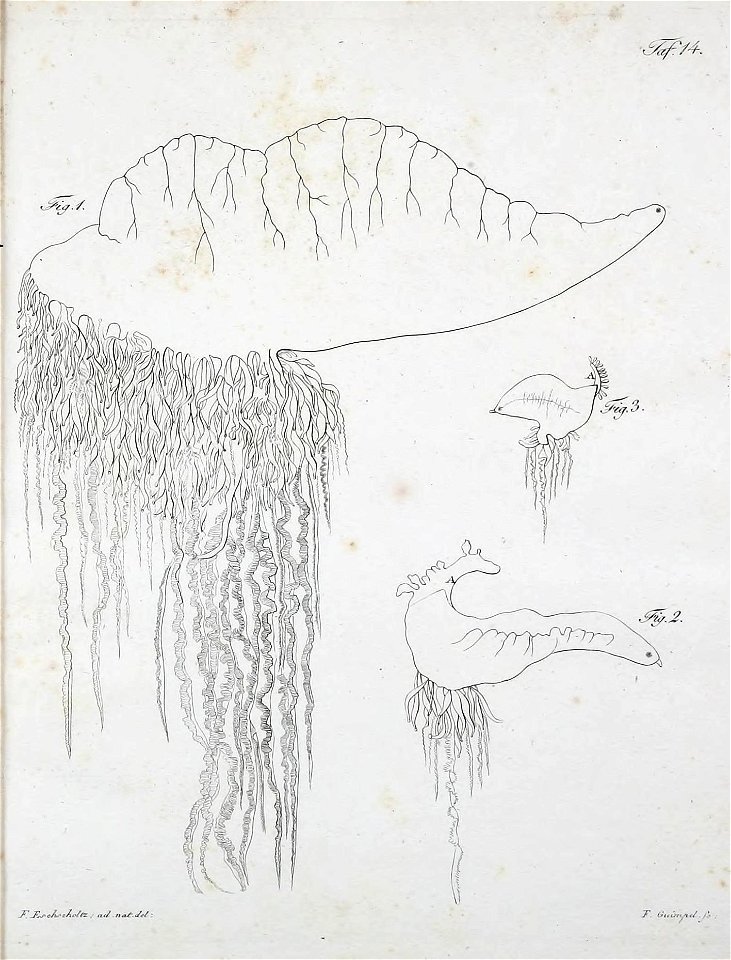 n254_w1150