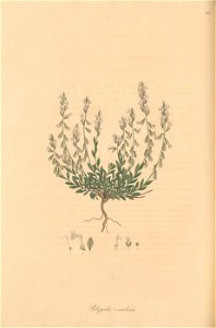 n209_w1150