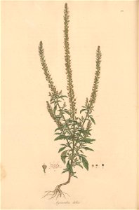 n255_w1150