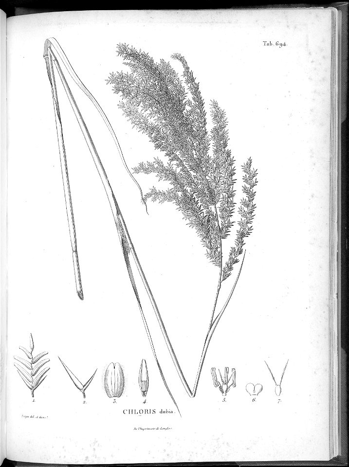 n661_w1150