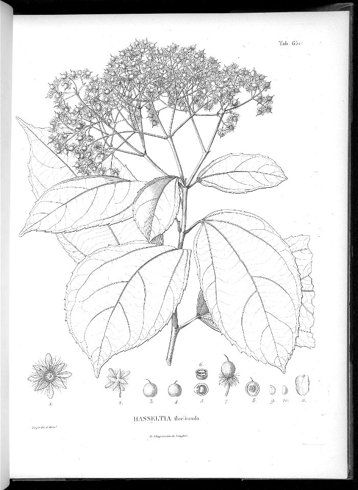 n615_w1150