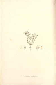 n117_w1150