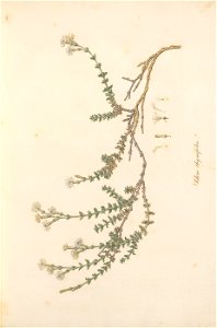 n36_w1150