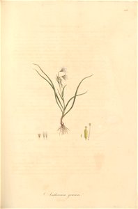 n108_w1150